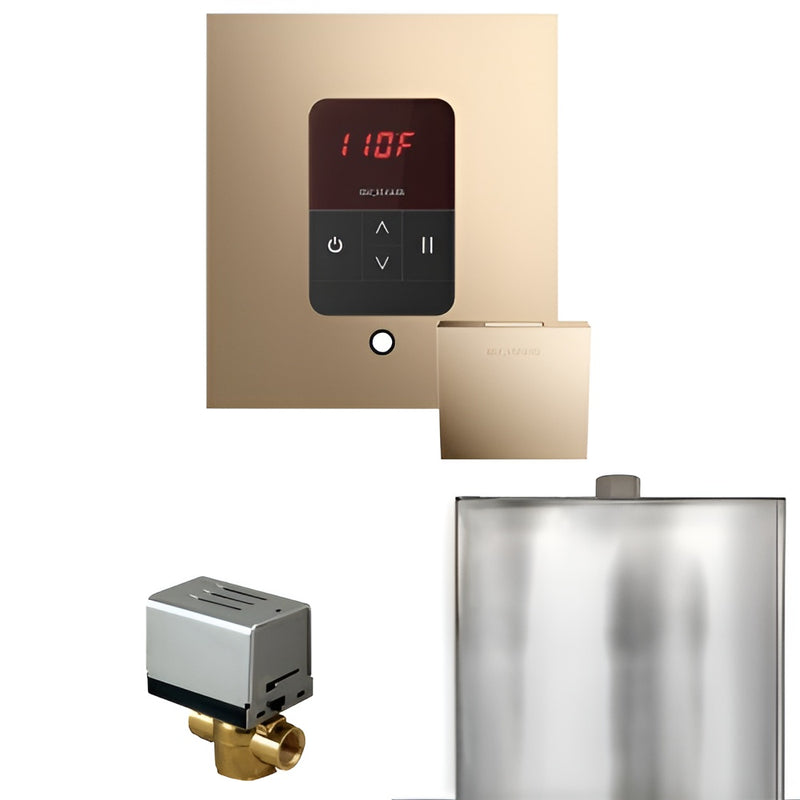 Mr.Steam Basic Butler Control Pkg