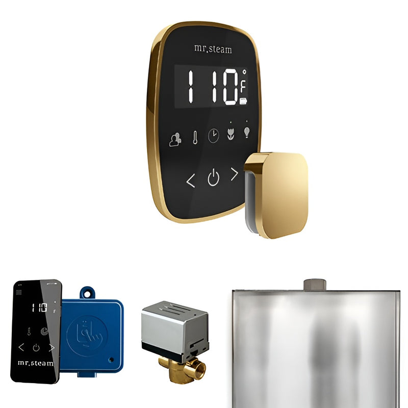 Mr.Steam ButlerFlex Control Pkg