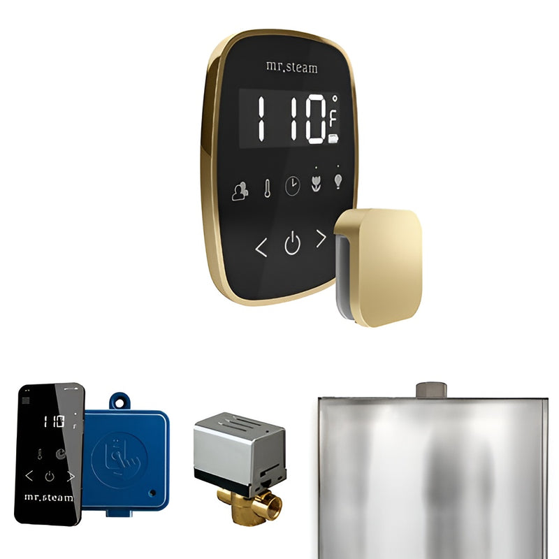 Mr.Steam ButlerFlex Control Pkg