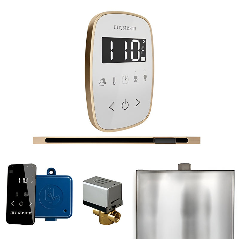 Mr.Steam ButlerFlex Linear Control Pkg