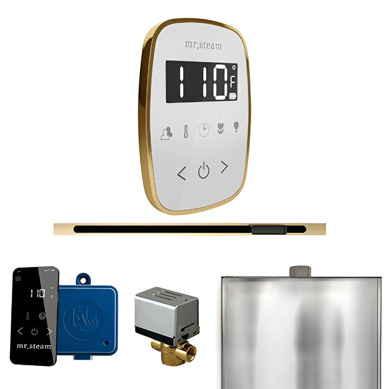 Mr.Steam ButlerFlex Linear Control Pkg
