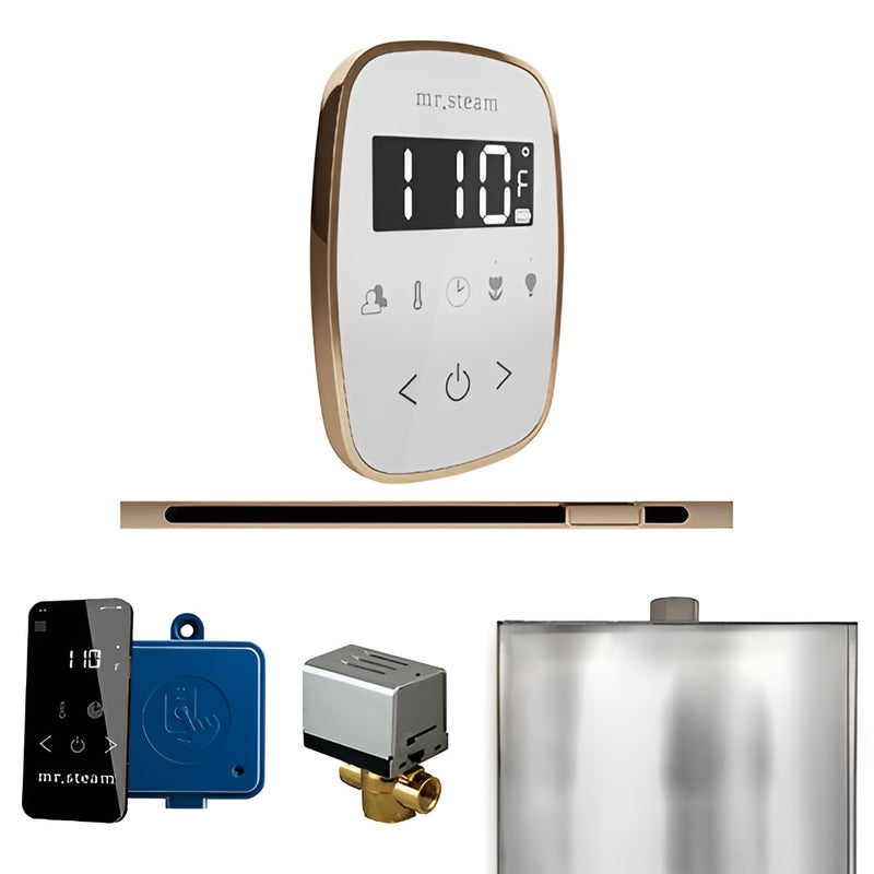 Mr.Steam ButlerFlex Linear Control Pkg