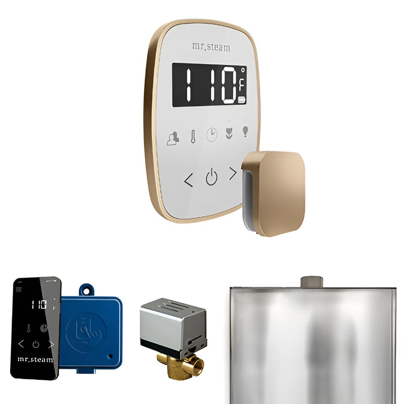 Mr.Steam ButlerFlex Control Pkg