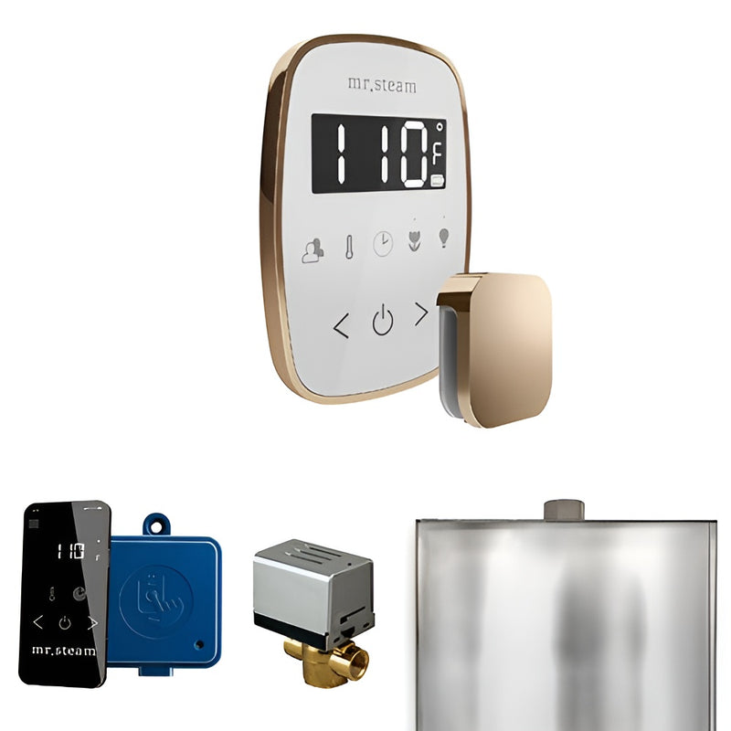 Mr.Steam ButlerFlex Control Pkg