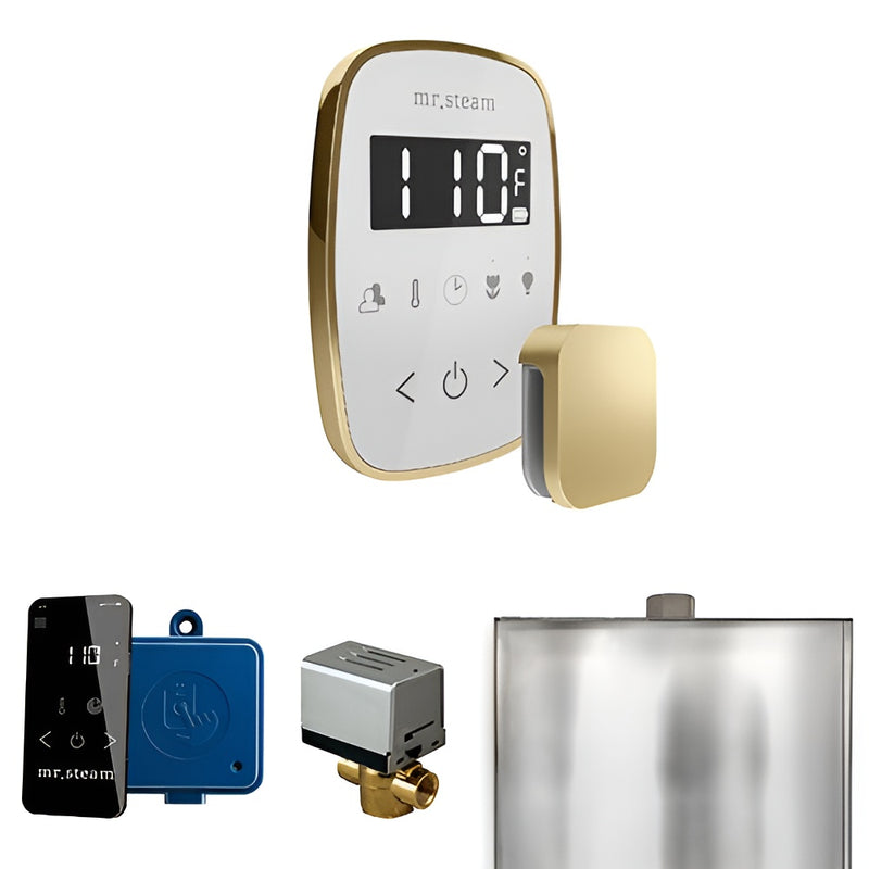Mr.Steam ButlerFlex Control Pkg