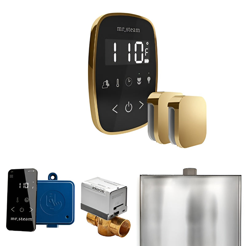 Mr.Steam ButlerFlex Max Control Pkg