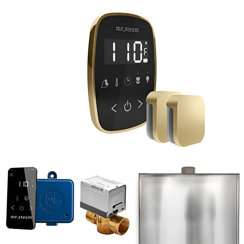 Mr.Steam ButlerFlex Max Control Pkg