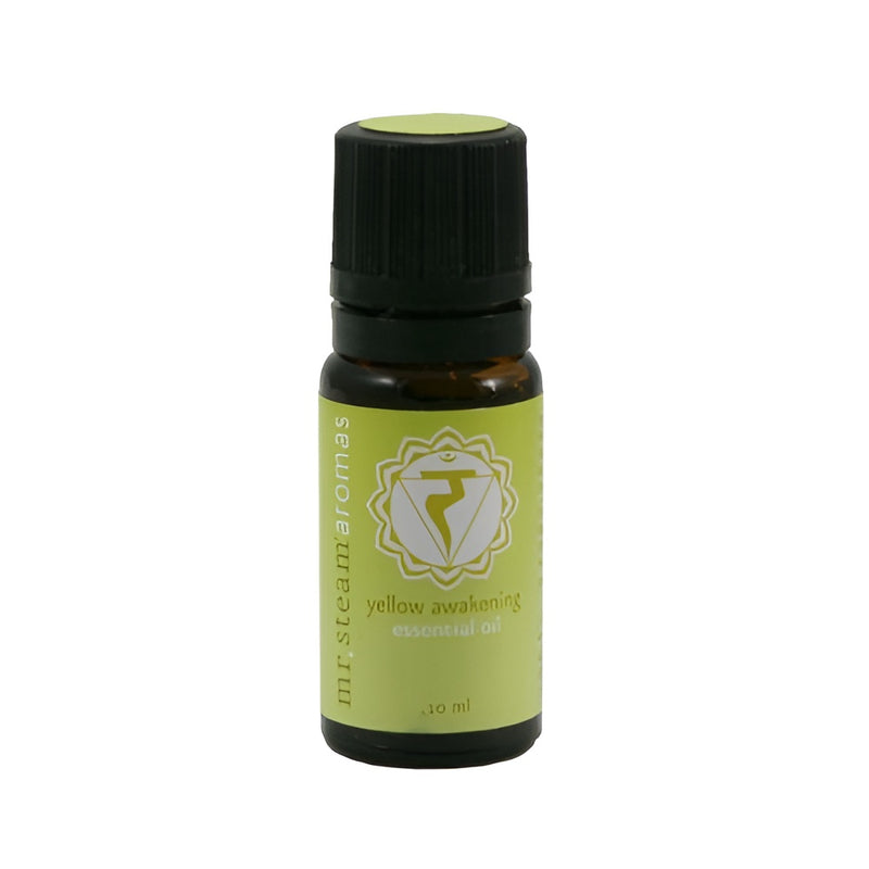 Mr.Steam Aroma Chakra