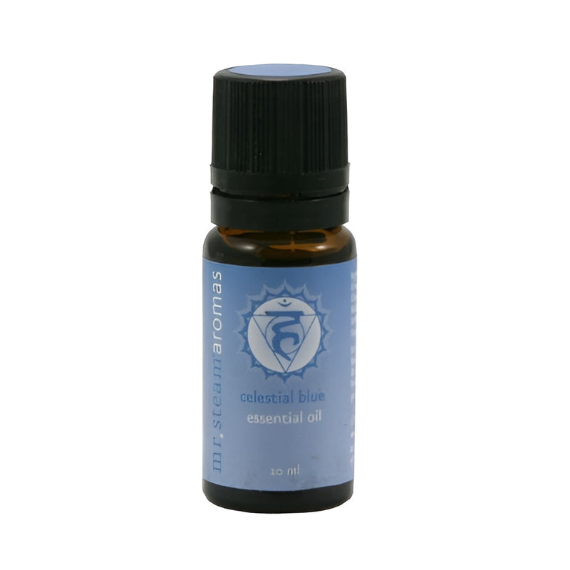 Mr.Steam Aroma Chakra