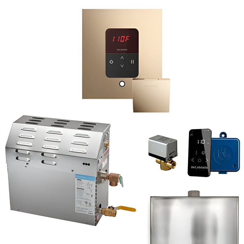 Mr.Steam MS iTempo Generator Pkg and Accessories