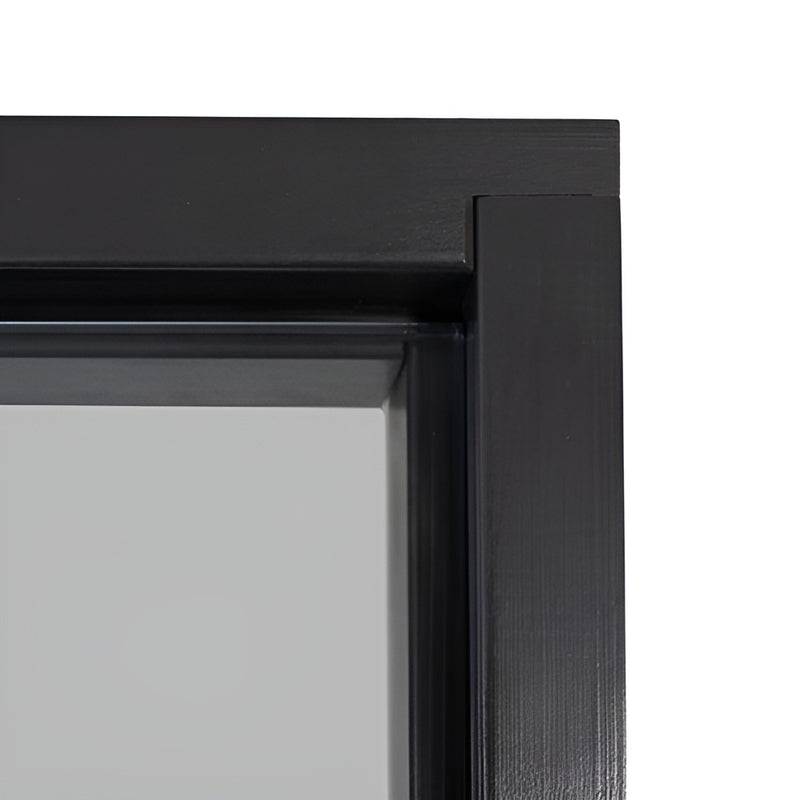 PROSAUNAS Tinted Glass Sauna Door, Black Alder, 24x81