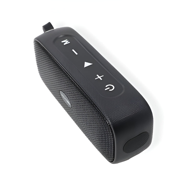 SaunaLife Verse Bluetooth Speaker